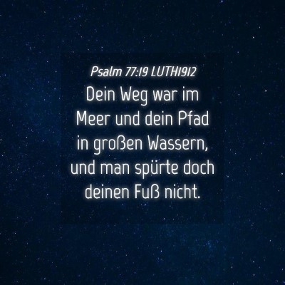 Picture 04 - Psalm 77:19 LUTH1912 - Dein Weg war im Meer und dein Pfad in großen - Bible Verse Picture