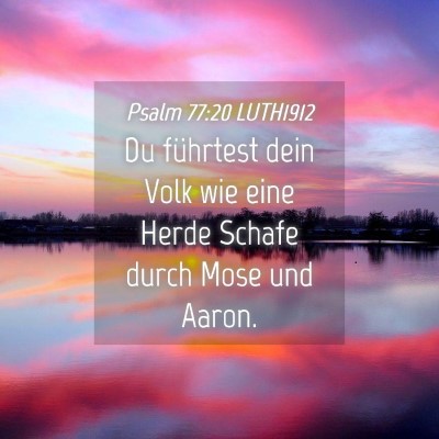 Picture 04 - Psalm 77:20 LUTH1912 - Du führtest dein Volk wie eine Herde Schafe - Bible Verse Picture