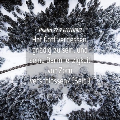 Picture 04 - Psalm 77:9 LUTH1912 - Hat Gott vergessen, gnädig zu sein, und seine - Bible Verse Picture