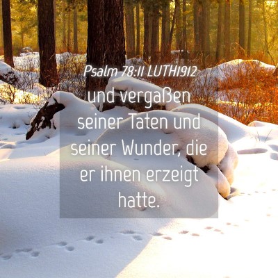 Picture 04 - Psalm 78:11 LUTH1912 - und vergaßen seiner Taten und seiner Wunder, die - Bible Verse Picture