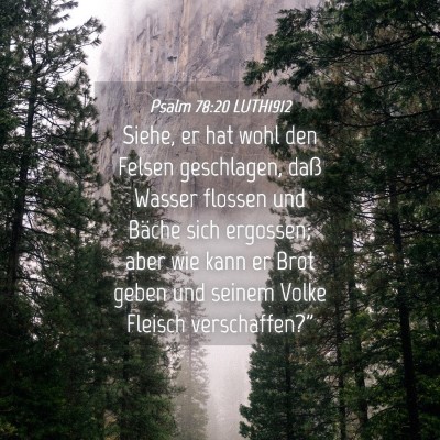 Picture 04 - Psalm 78:20 LUTH1912 - Siehe, er hat wohl den Felsen geschlagen, daß - Bible Verse Picture