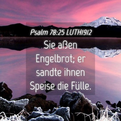 Picture 04 - Psalm 78:25 LUTH1912 - Sie aßen Engelbrot; er sandte ihnen Speise die - Bible Verse Picture