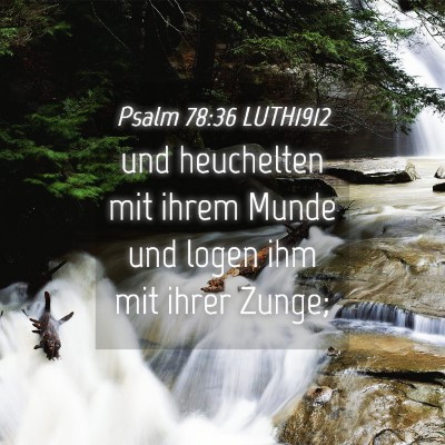 Picture 04 - Psalm 78:36 LUTH1912 - und heuchelten mit ihrem Munde und logen ihm mit - Bible Verse Picture