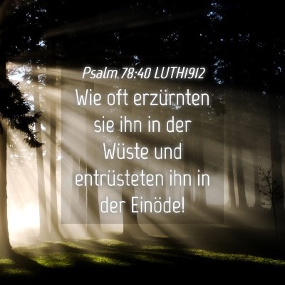 Picture 04 - Psalm 78:40 LUTH1912 - Wie oft erzürnten sie ihn in der Wüste und - Bible Verse Picture