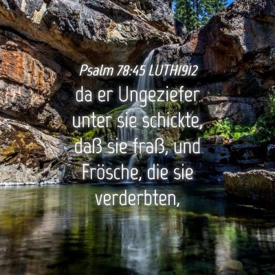 Picture 04 - Psalm 78:45 LUTH1912 - da er Ungeziefer unter sie schickte, daß sie - Bible Verse Picture