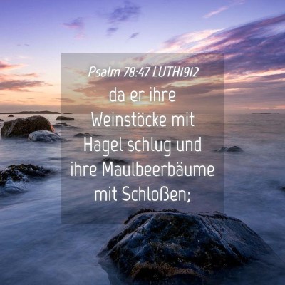 Picture 04 - Psalm 78:47 LUTH1912 - da er ihre Weinstöcke mit Hagel schlug und ihre - Bible Verse Picture