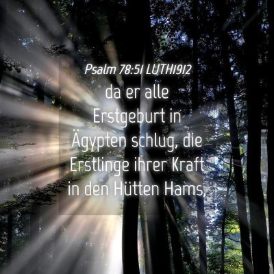 Picture 04 - Psalm 78:51 LUTH1912 - da er alle Erstgeburt in Ägypten schlug, die - Bible Verse Picture