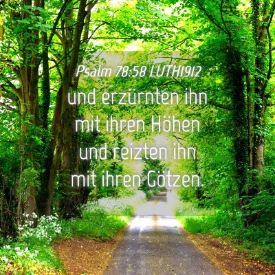 Picture 04 - Psalm 78:58 LUTH1912 - und erzürnten ihn mit ihren Höhen und reizten - Bible Verse Picture