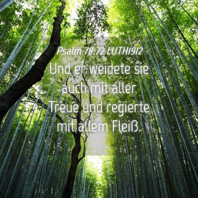 Picture 04 - Psalm 78:72 LUTH1912 - Und er weidete sie auch mit aller Treue und - Bible Verse Picture
