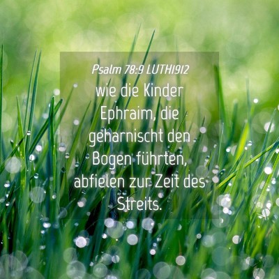Picture 04 - Psalm 78:9 LUTH1912 - wie die Kinder Ephraim, die geharnischt den Bogen - Bible Verse Picture