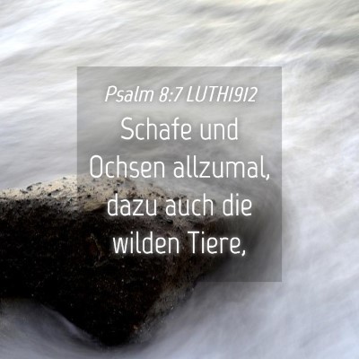 Picture 04 - Psalm 8:7 LUTH1912 - Schafe und Ochsen allzumal, dazu auch die wilden - Bible Verse Picture