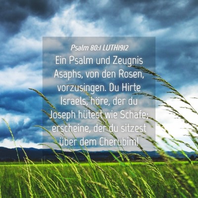 Picture 04 - Psalm 80:1 LUTH1912 - Ein Psalm und Zeugnis Asaphs, von den Rosen, - Bible Verse Picture