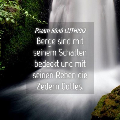 Picture 04 - Psalm 80:10 LUTH1912 - Berge sind mit seinem Schatten bedeckt und mit - Bible Verse Picture