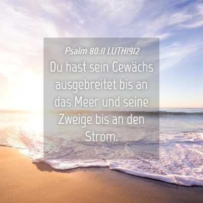Picture 04 - Psalm 80:11 LUTH1912 - Du hast sein Gewächs ausgebreitet bis an das - Bible Verse Picture
