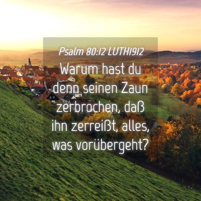 Picture 04 - Psalm 80:12 LUTH1912 - Warum hast du denn seinen Zaun zerbrochen, daß - Bible Verse Picture