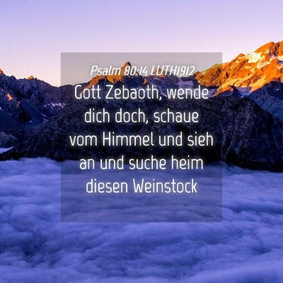 Picture 04 - Psalm 80:14 LUTH1912 - Gott Zebaoth, wende dich doch, schaue vom Himmel - Bible Verse Picture
