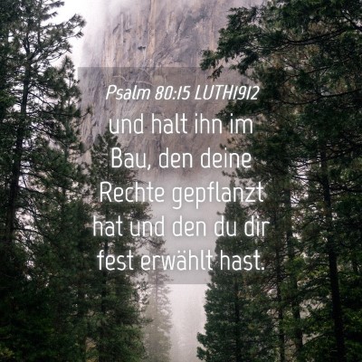 Picture 04 - Psalm 80:15 LUTH1912 - und halt ihn im Bau, den deine Rechte gepflanzt - Bible Verse Picture