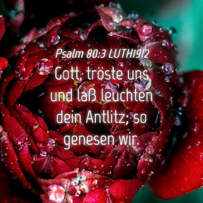 Picture 04 - Psalm 80:3 LUTH1912 - Gott, tröste uns und laß leuchten dein Antlitz; - Bible Verse Picture