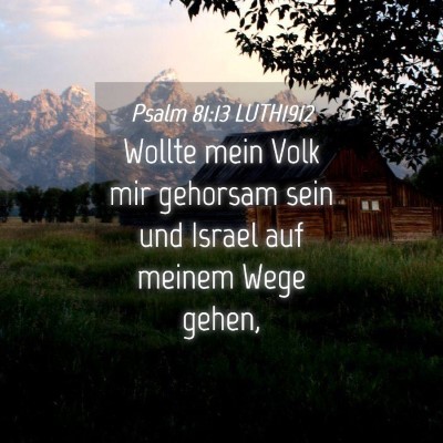Picture 04 - Psalm 81:13 LUTH1912 - Wollte mein Volk mir gehorsam sein und Israel auf - Bible Verse Picture
