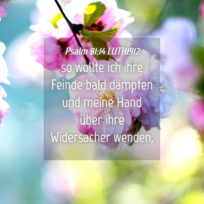 Picture 04 - Psalm 81:14 LUTH1912 - so wollte ich ihre Feinde bald dämpfen und meine - Bible Verse Picture