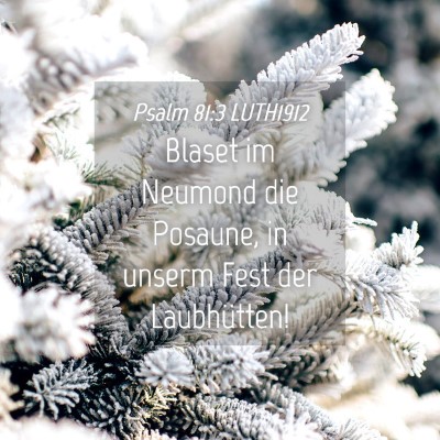 Picture 04 - Psalm 81:3 LUTH1912 - Blaset im Neumond die Posaune, in unserm Fest der - Bible Verse Picture