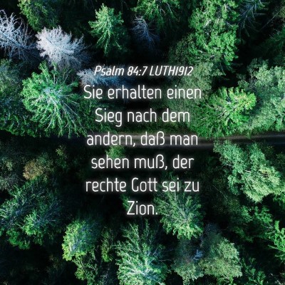 Picture 04 - Psalm 84:7 LUTH1912 - Sie erhalten einen Sieg nach dem andern, daß man - Bible Verse Picture