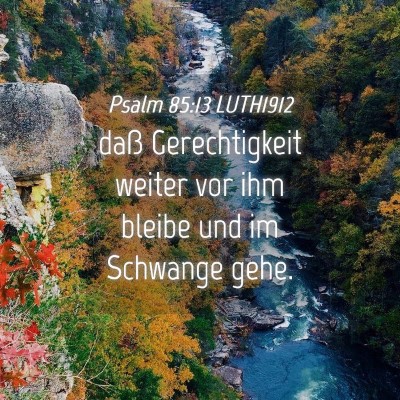 Picture 04 - Psalm 85:13 LUTH1912 - daß Gerechtigkeit weiter vor ihm bleibe und im - Bible Verse Picture