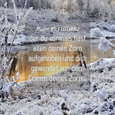 Picture 04 - Psalm 85:3 LUTH1912 - der du vormals hast allen deinen Zorn aufgehoben - Bible Verse Picture