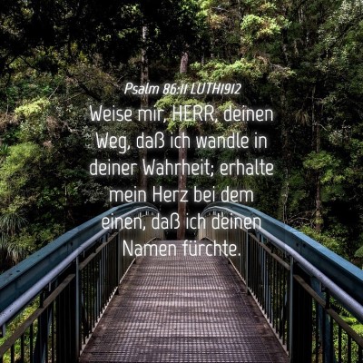 Picture 04 - Psalm 86:11 LUTH1912 - Weise mir, HERR, deinen Weg, daß ich wandle in - Bible Verse Picture