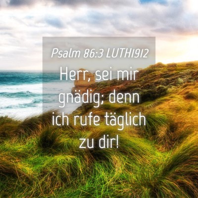 Picture 04 - Psalm 86:3 LUTH1912 - Herr, sei mir gnädig; denn ich rufe täglich zu - Bible Verse Picture