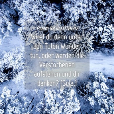 Picture 04 - Psalm 88:10 LUTH1912 - Wirst du denn unter den Toten Wunder tun, oder - Bible Verse Picture