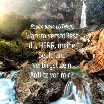 Picture 04 - Psalm 88:14 LUTH1912 - Warum verstößest du, HERR, meine Seele und - Bible Verse Picture