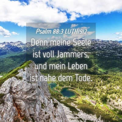 Picture 04 - Psalm 88:3 LUTH1912 - Denn meine Seele ist voll Jammers, und mein Leben - Bible Verse Picture