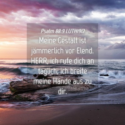 Picture 04 - Psalm 88:9 LUTH1912 - Meine Gestalt ist jämmerlich vor Elend. HERR, - Bible Verse Picture