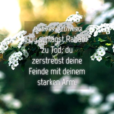 Picture 04 - Psalm 89:10 LUTH1912 - Du schlägst Rahab zu Tod; du zerstreust deine - Bible Verse Picture