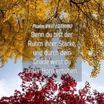 Picture 04 - Psalm 89:17 LUTH1912 - Denn du bist der Ruhm ihrer Stärke, und durch - Bible Verse Picture