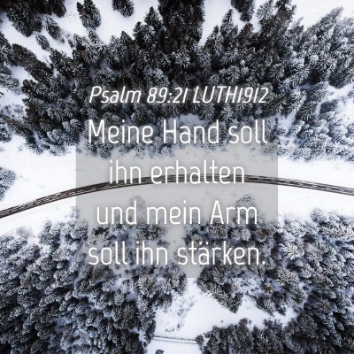 Picture 04 - Psalm 89:21 LUTH1912 - Meine Hand soll ihn erhalten und mein Arm soll - Bible Verse Picture