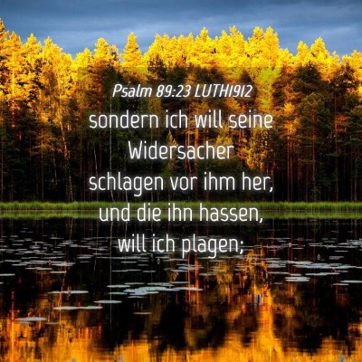 Picture 04 - Psalm 89:23 LUTH1912 - sondern ich will seine Widersacher schlagen vor - Bible Verse Picture