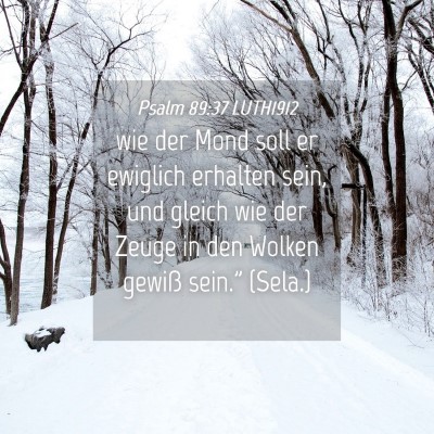 Picture 04 - Psalm 89:37 LUTH1912 - wie der Mond soll er ewiglich erhalten sein, und - Bible Verse Picture