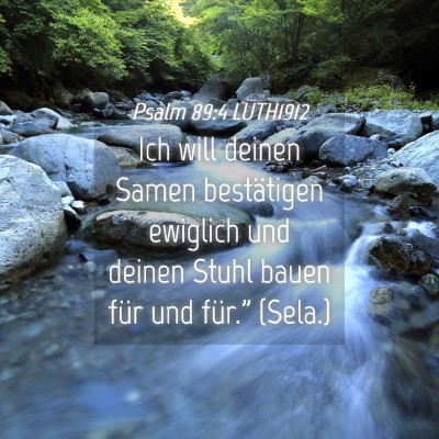 Picture 04 - Psalm 89:4 LUTH1912 - Ich will deinen Samen bestätigen ewiglich und - Bible Verse Picture