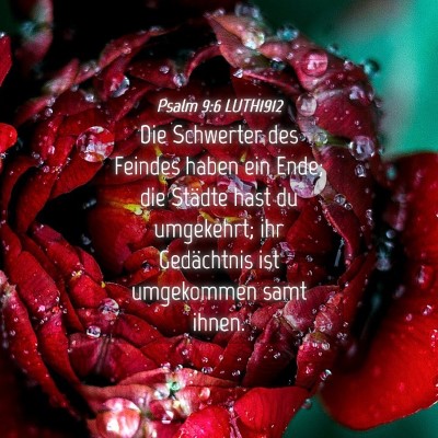 Picture 04 - Psalm 9:6 LUTH1912 - Die Schwerter des Feindes haben ein Ende; die - Bible Verse Picture