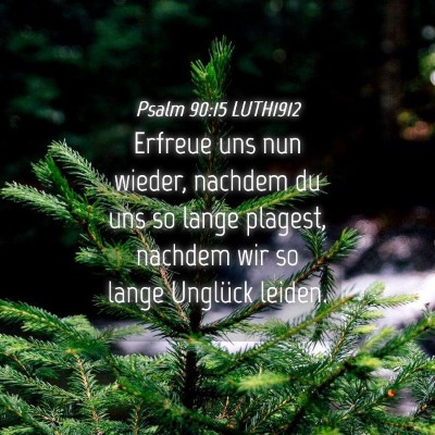 Picture 04 - Psalm 90:15 LUTH1912 - Erfreue uns nun wieder, nachdem du uns so lange - Bible Verse Picture