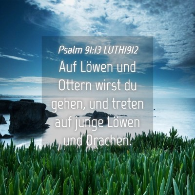 Picture 04 - Psalm 91:13 LUTH1912 - Auf Löwen und Ottern wirst du gehen, und treten - Bible Verse Picture