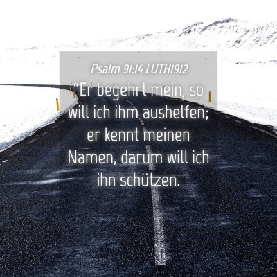 Picture 04 - Psalm 91:14 LUTH1912 - “Er begehrt mein, so will ich ihm aushelfen; er - Bible Verse Picture