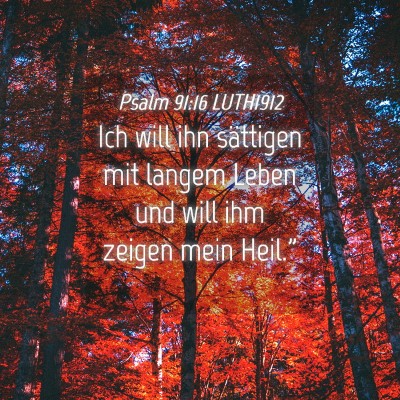 Picture 04 - Psalm 91:16 LUTH1912 - Ich will ihn sättigen mit langem Leben und will - Bible Verse Picture
