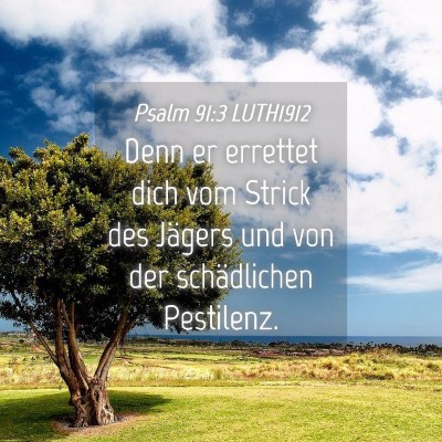 Picture 04 - Psalm 91:3 LUTH1912 - Denn er errettet dich vom Strick des Jägers und - Bible Verse Picture