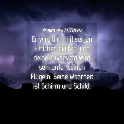 Picture 04 - Psalm 91:4 LUTH1912 - Er wird dich mit seinen Fittichen decken, und - Bible Verse Picture