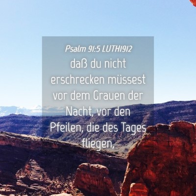 Picture 04 - Psalm 91:5 LUTH1912 - daß du nicht erschrecken müssest vor dem Grauen - Bible Verse Picture