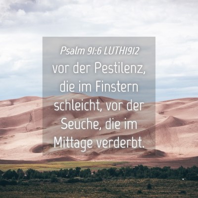 Picture 04 - Psalm 91:6 LUTH1912 - vor der Pestilenz, die im Finstern schleicht, vor - Bible Verse Picture