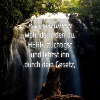 Picture 04 - Psalm 94:12 LUTH1912 - Wohl dem, den du, HERR, züchtigst und lehrst ihn - Bible Verse Picture
